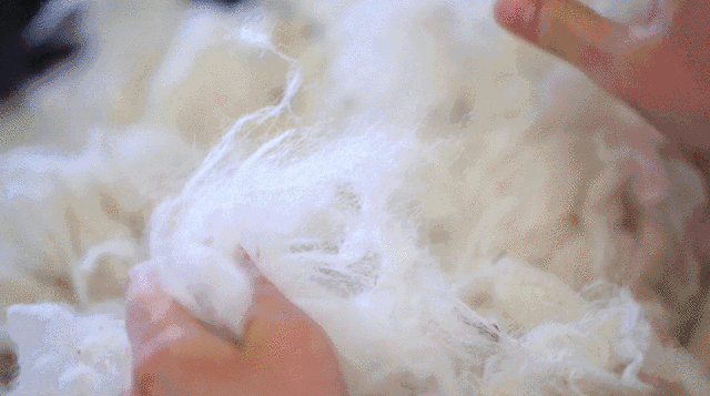 100%新西兰羊毛被，盖起来就像被窝装了空调，睡眠深度提升25%！
